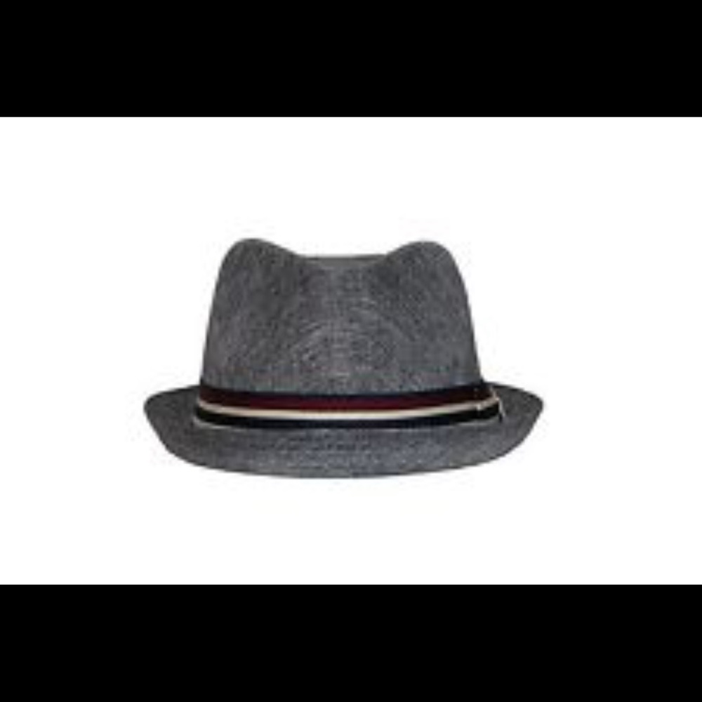 NWT Men's Milani 100% Polyester Gray Fedora Hat